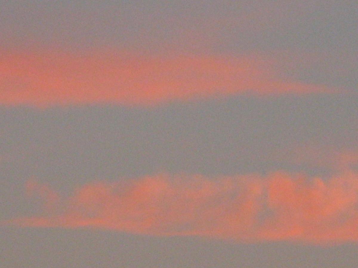 IMG_1104  